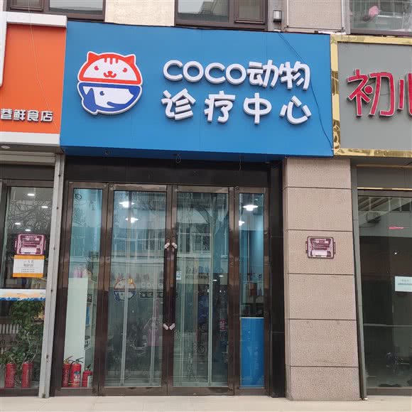 Coco动物诊疗中心:太原市迎泽区柳巷商业区附近