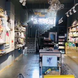 小金宝宠物(中海分店):吉林市丰满区