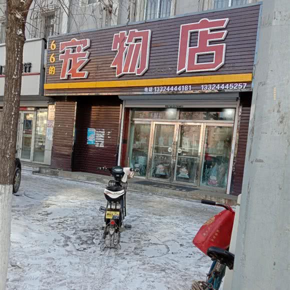 66的宠物店:吉林市蛟河市