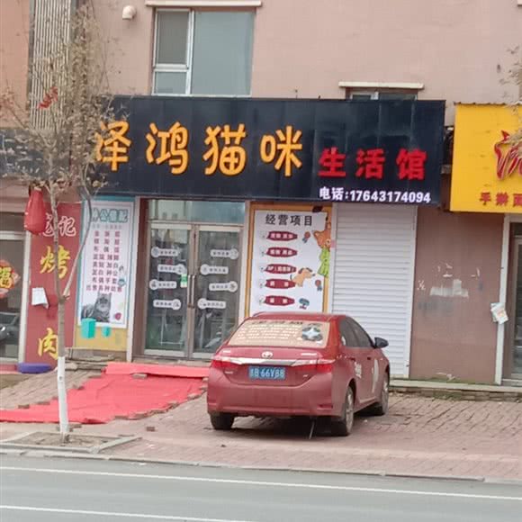 泽鸿猫咪生活馆:吉林市舒兰市