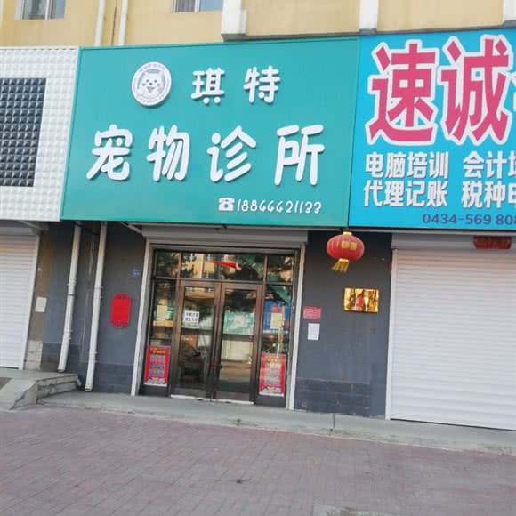 琪特宠物诊所:四平市梨树县