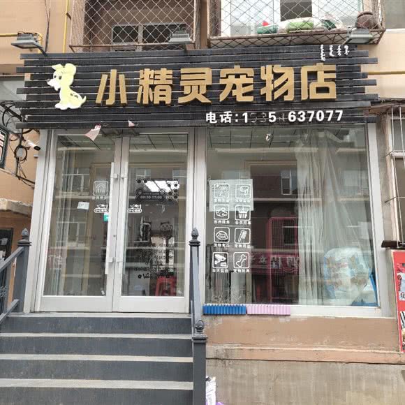 小精灵宠物店:四平市伊通满族自治县