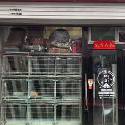 龙城爱犬(柳巷店):太原市迎泽区铜锣湾附近