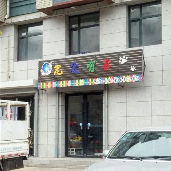 宠爱有家:四平市双辽市