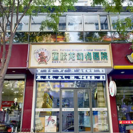 亚欧龙动物医院:太原市迎泽区并州北路附近