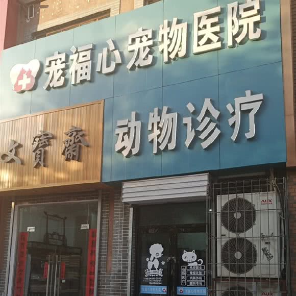 宠福心宠物医院动物诊疗:太原市迎泽区并州北路附近