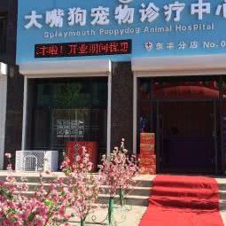 大嘴狗宠物:辽源市东丰县