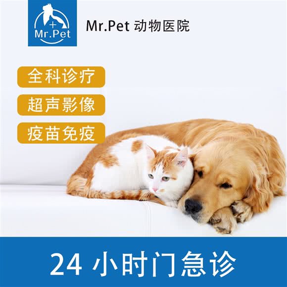 Mr.Pet动物医院(鼓楼街分院):太原市迎泽区鼓楼街附近