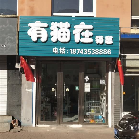 有猫在猫舍:通化市柳河县