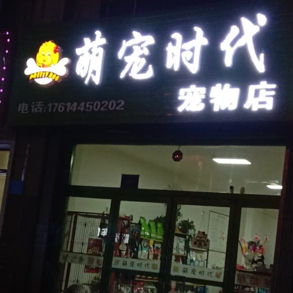 萌宠时代:通化市梅河口市