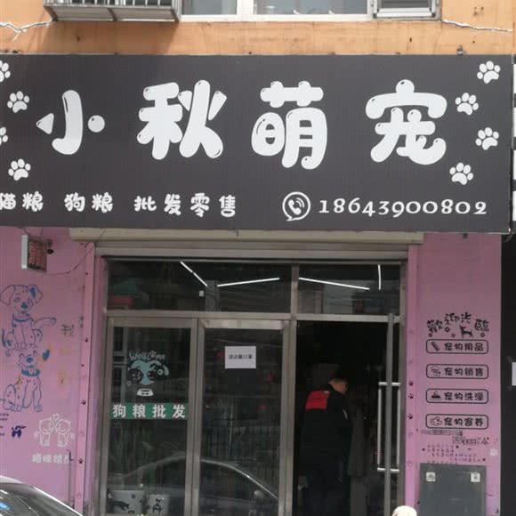 小秋萌宠:白山市浑江区