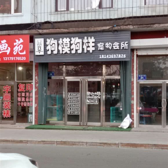 狗模狗样宠物会所:白山市临江市