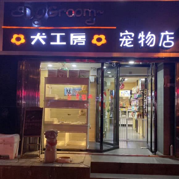 犬工房宠物店:太原市迎泽区新建路附近