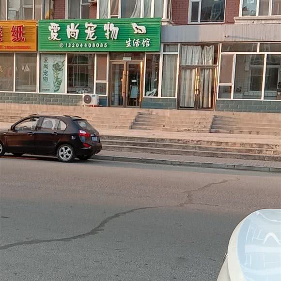 爱尚宠物:白城市大安市