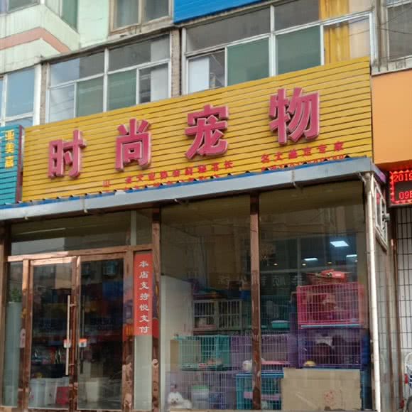 时尚宠物:太原市迎泽区朝阳街附近
