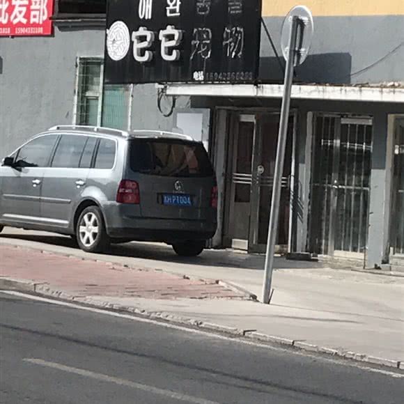 它它宠物:延边朝鲜族自治州延吉市
