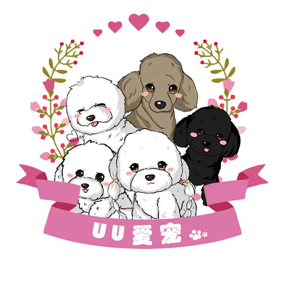 YOYO爱宠:延边朝鲜族自治州延吉市