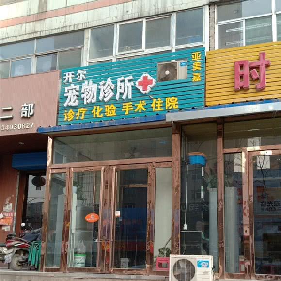 开尔宠物诊所:太原市迎泽区朝阳街附近