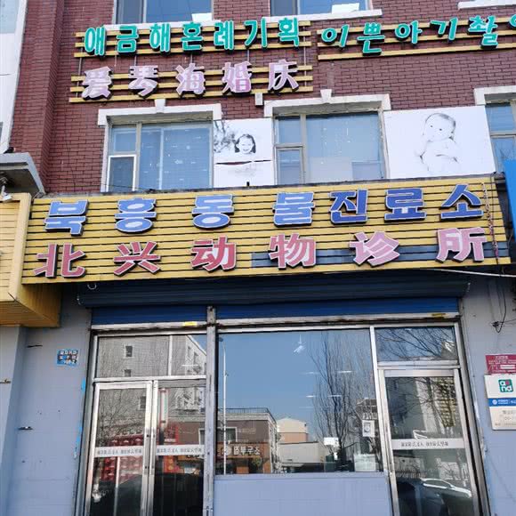 北兴动物诊所:延边朝鲜族自治州延吉市