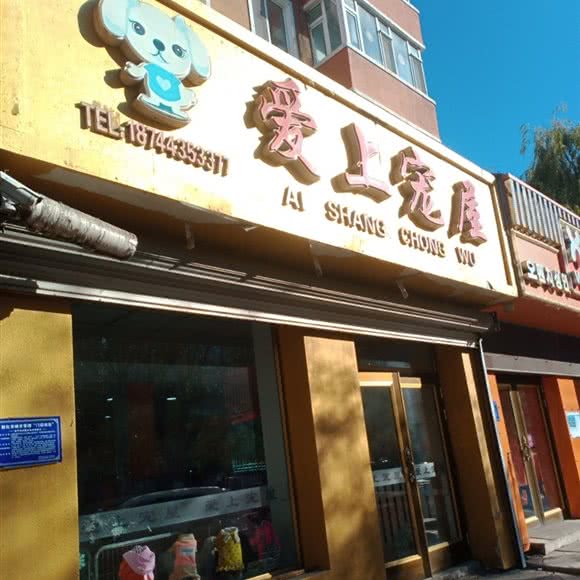 爱上宠屋:延边朝鲜族自治州敦化市
