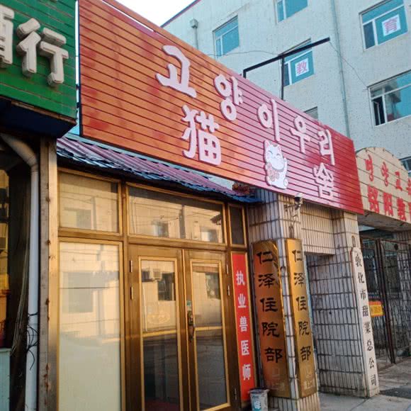 猫舍:延边朝鲜族自治州敦化市