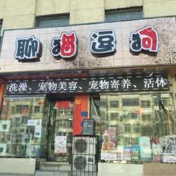 太原聊猫逗狗宠物吧:太原市杏花岭区万达/龙潭商业中心附近