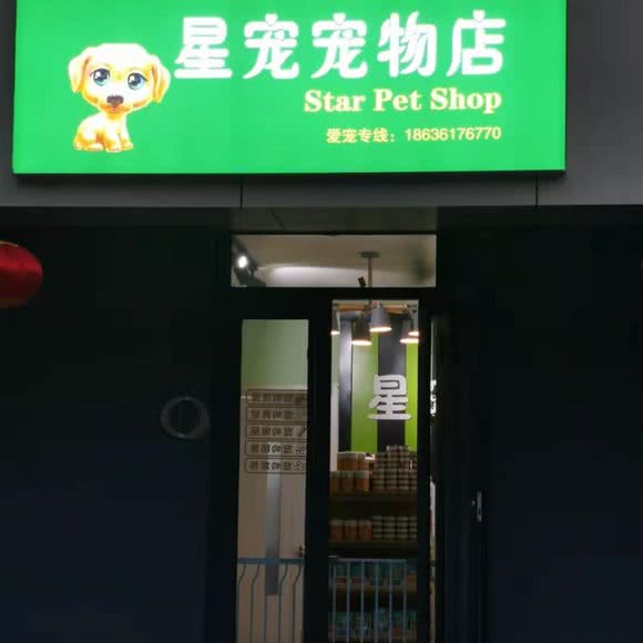 星宠宠物店:太原市杏花岭区北肖墙附近