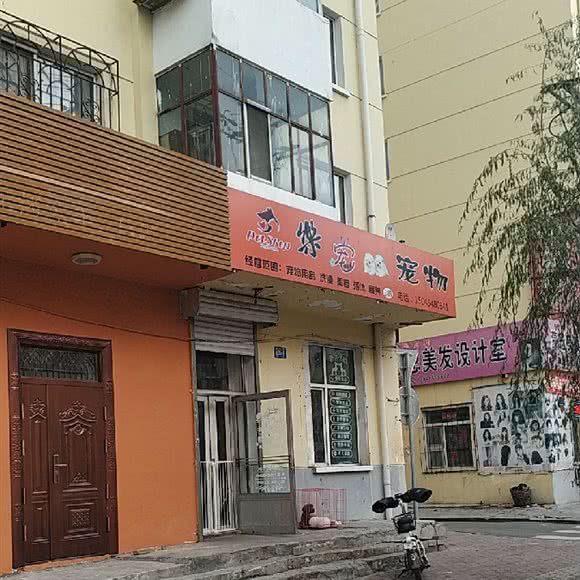 悦宠宠物:哈尔滨市道里区