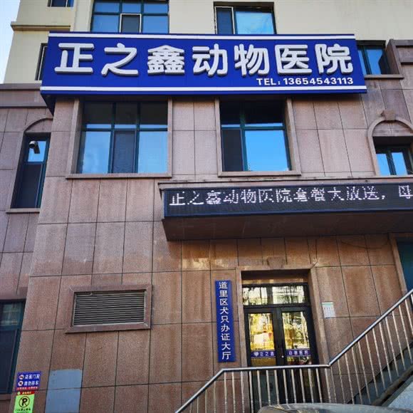 正之鑫动物医院:哈尔滨市道里区
