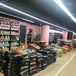 冠迪宠物:哈尔滨市南岗区
