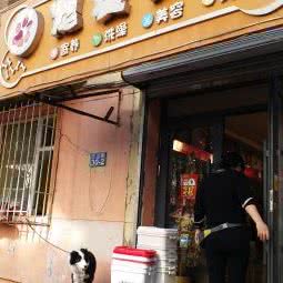 宠爱有家:哈尔滨市南岗区