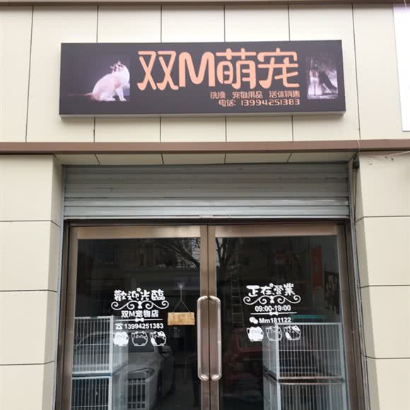 双M萌宠:太原市杏花岭区北大街附近