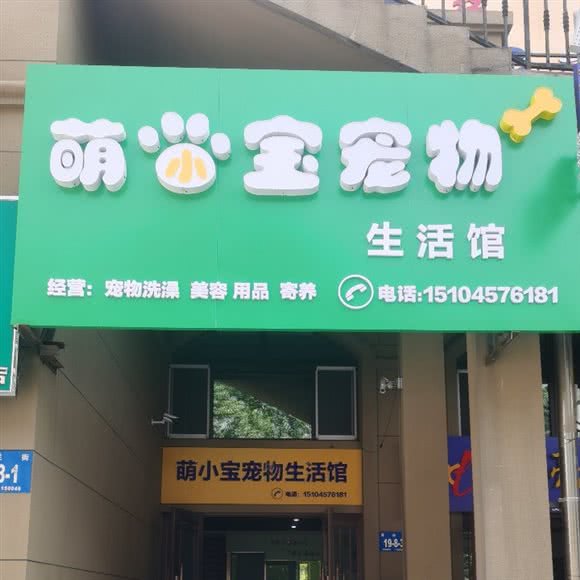 萌小宝宠物生活馆:哈尔滨市香坊区