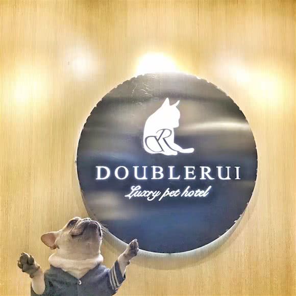 Double Rui宠物酒店:北京城区朝阳区百子湾附近