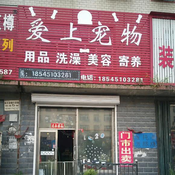 爱上宠物:哈尔滨市宾县