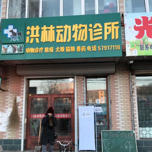洪琳动物诊所:哈尔滨市宾县