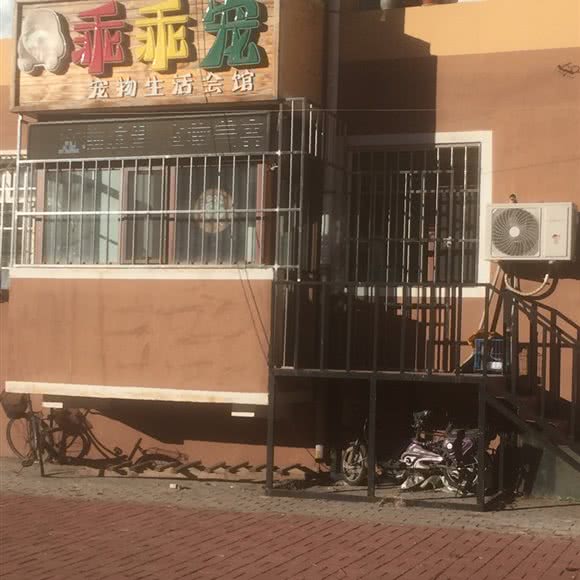 乖乖宠:齐齐哈尔市龙沙区