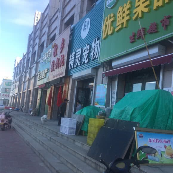 精灵宠物:齐齐哈尔市龙沙区