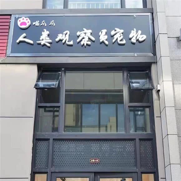 全人类观察员宠物:齐齐哈尔市龙沙区