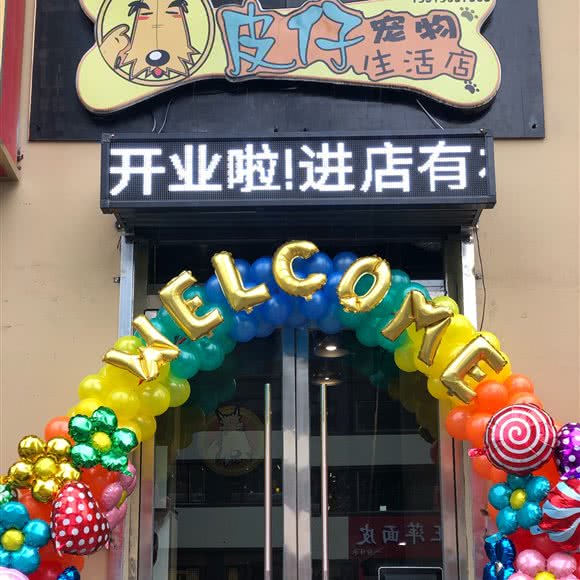皮仔狗狗生活店总店:太原市杏花岭区解放路附近