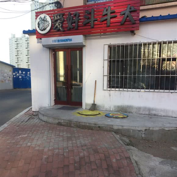 爱好斗牛犬:齐齐哈尔市龙沙区