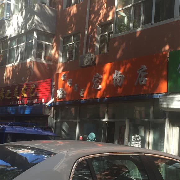 楠得有爱宠物店:齐齐哈尔市建华区