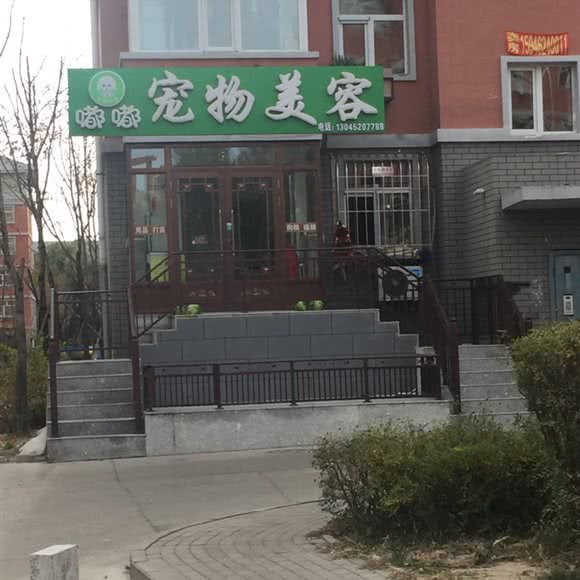 嘟嘟宠物美容:齐齐哈尔市铁锋区