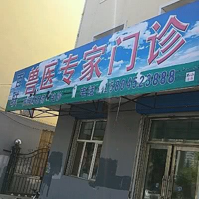 百联兽医专家门诊:齐齐哈尔市依安县