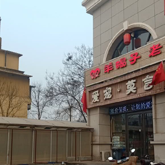 爱宠莫言:太原市杏花岭区建设北路附近