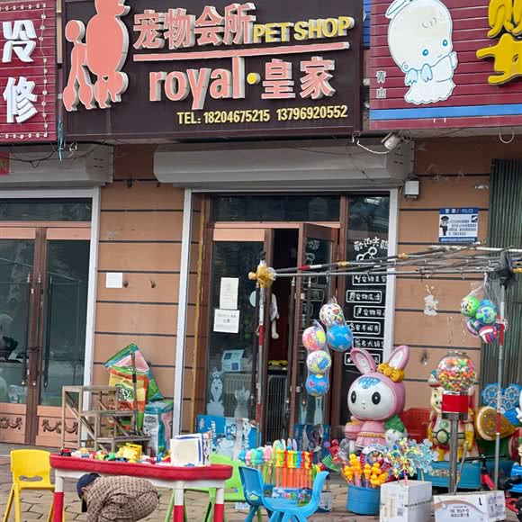 皇家宠物会所:鸡西市虎林市