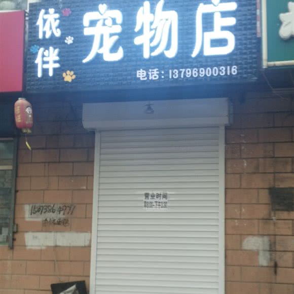 依伴宠物店:双鸭山市尖山区