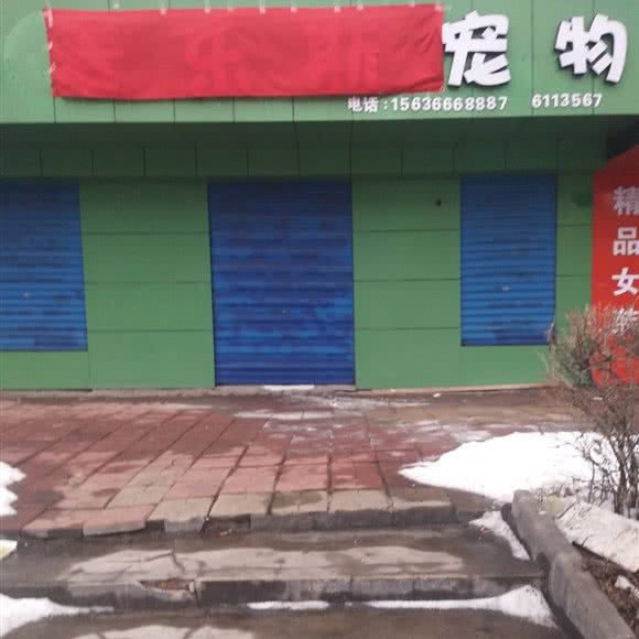 麦乐斯宠物:双鸭山市尖山区