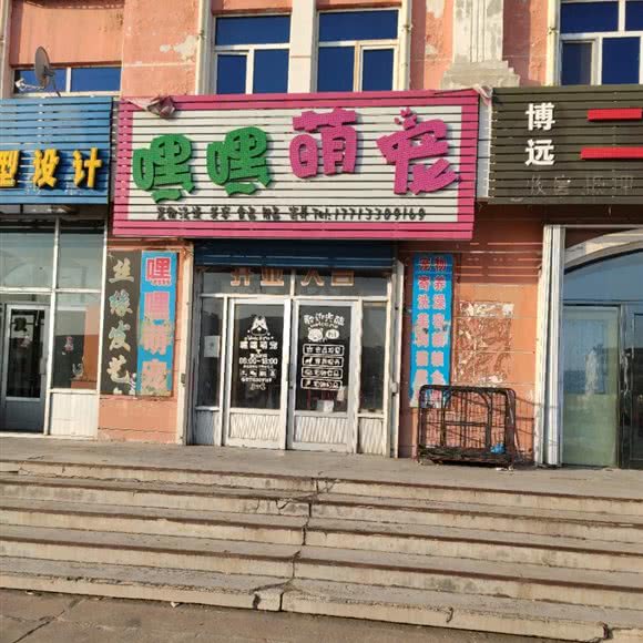 嘿嘿萌宠:双鸭山市集贤县