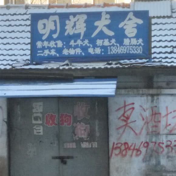 明辉犬舍:双鸭山市集贤县